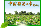 &#26131;&#28216;&#32593;&#39029;&#29256;&#45;&#26131;&#28216;&#40;&#20013;&#22269;&#41;